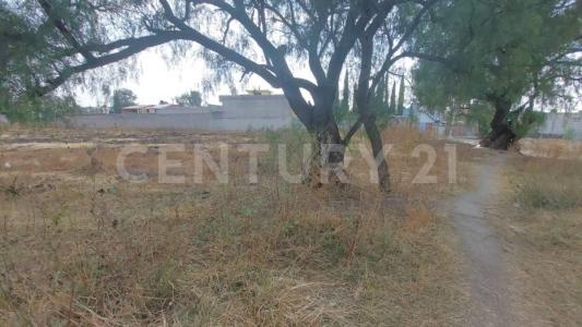 emiliano zapata s/n,, Tecámac, Estado De Mexico 55750, Mexico