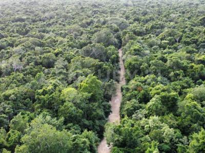 Camino Rústico S/N,, Lázaro Cárdenas, Quintana Roo 77368, Meksika