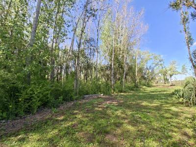 Canal Gobernador de la Serna Frente Arroyo Rico, San Fernando, GBA Norte 1646, Argentyna