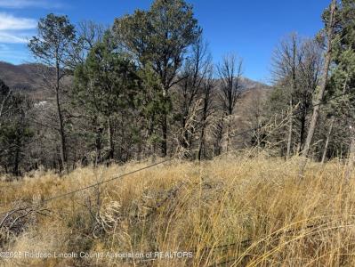 - Pine Shadow Trail, Ruidoso, Nuevo México 88345, Estados Unidos