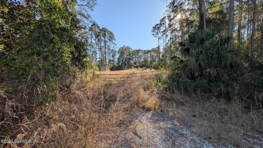 113 White Pine Lane, Goergetown, Florida 32139, USA