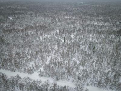 V/L Rybicki Road, Free Soil, Michigan 49411, USA