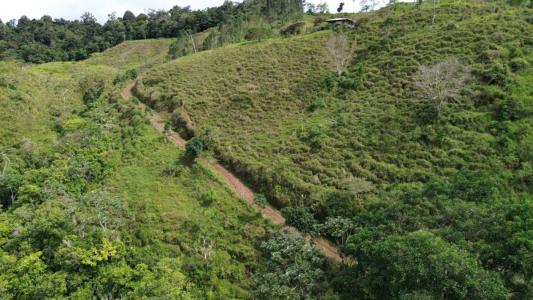 Turrialba Turrialba, Cartago 30501, Costa Rica