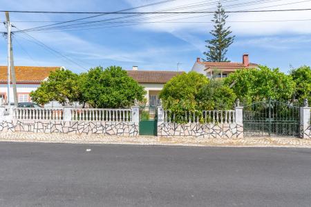 Cartaxo, Santarém 2070-557, Portugal