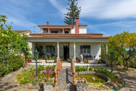 Cartaxo, Santarém 2070-551, Portugal