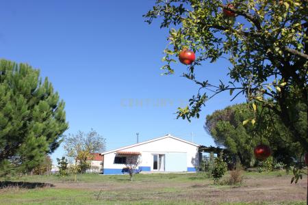 Benavente, Santarem 2130-131, Portugal