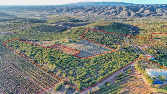 Silves, Faro 8300-019, Portugal