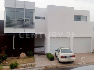 치와와, 치와와 31216, 멕시코