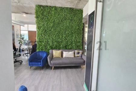 Concepción, Región Del Biobío 00001, Chili