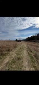 563 Moores Creek Greenhill Road, Annville, 肯塔基州 40402, 美国