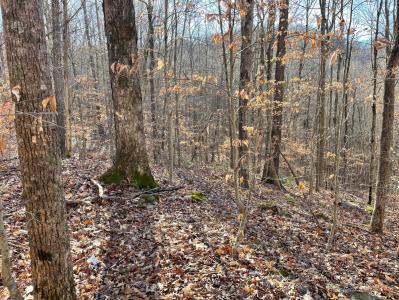 2211 Dixie Bend Road, Burnside, Kentucky 42519