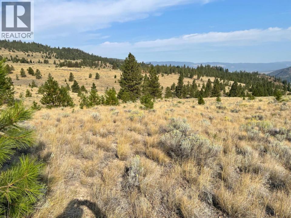 923 MIDDAY VALLEY ROAD, Merritt, ブリティッシュコロンビア V1K 0A3, カナダ