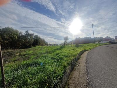 Pombal, Leiria 3100-320, Portugal