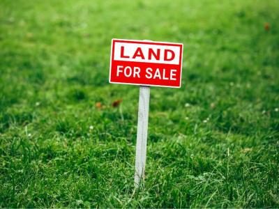 Lot 29 Coptic Terrace, Pokeno, Waikato District 2402, New Zealand