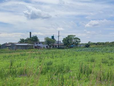 Swartruggens, North West, 南非