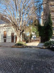 5 entre 41 y 42 , La Plata, GBA Sur 1900, Argentina