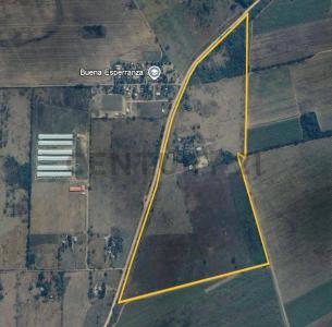 Norte, Santa Cruz 00001, Bolivie