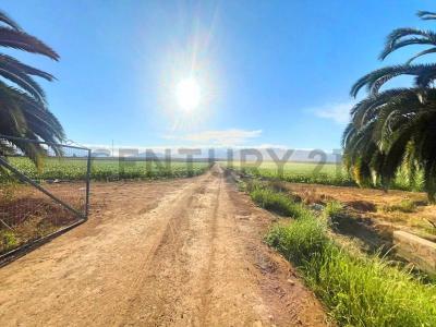 Elqui, Coquimbo 00001, Chile