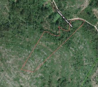 Porto De Mós, Leiria 2410-152, Portugal