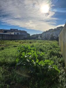 Valongo, Porto 4440, Portogallo