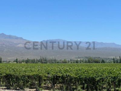 Fray Justo Santa María de Oro , San Juan, San Juan 5400, Argentina