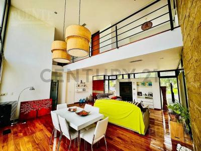 el deslinde , San Vicente, GBA Sur 1865, Argentina