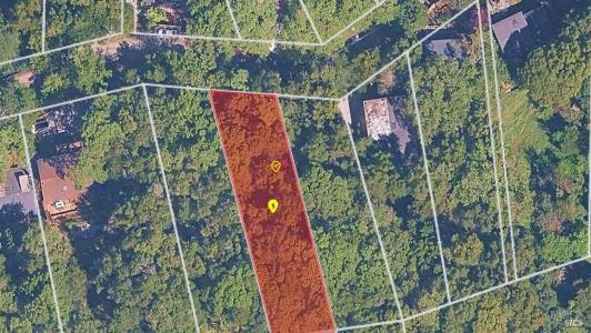 Forrest Avenue, Fairfax, California 94930, USA