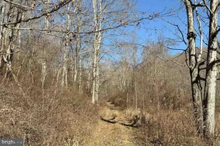 Lot 5, 34.53 Acres Lick Creek, Green Sulphur Springs, WV 25966, USA