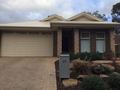 21 Littler Drive, Fairview Park, SA 5126, Australia