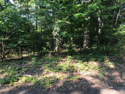 0 Sam Adams Road, Morristown, Tennessee 37813, États-Unis