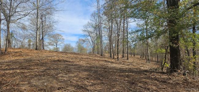 1200 County Road 375, Billingsley, Alabama 36006, USA