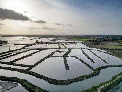 Palmela, Setúbal 2965-691, Bồ Đào Nha