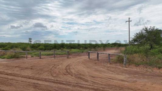 Tte Irala Fernandez, Boquerón 00001, Paraguay