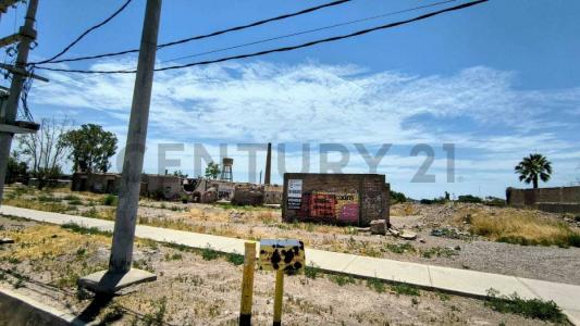 Bandera de los Andes y Milagros , Rodeo De La Cruz, メンドサ 00001, アルゼンチン