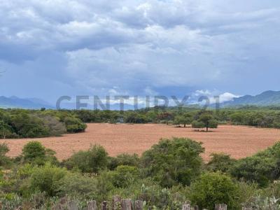 Sur, Santa Cruz 00001, Bolivia