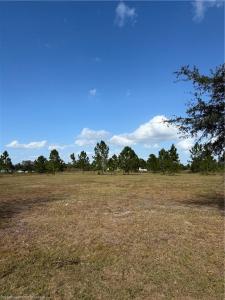 2510 W Butkus Road, Avon Park, Florida 33825, USA