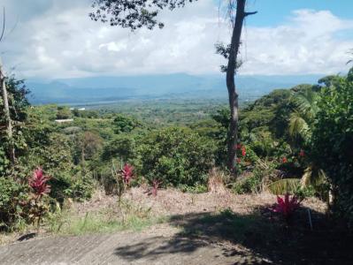 Manuel Antonio Quepos Quepos, Puntarenas 60601, Costa Rica