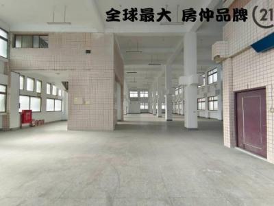 五權五路, Wugu Dist., 新北 248, 台湾