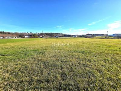 Slovenska Bistrica, Zgornja polskava, Slovenska Bistrica, Podravska 2314, Slovenia