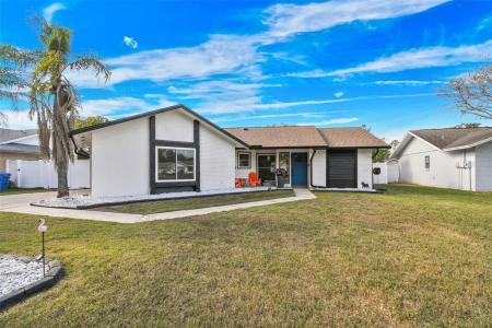 1729 Lake Crest Ave, Brandon, Florida 33510, USA