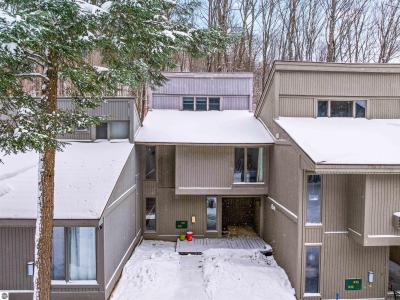 2500 Josef Strasse , 410/411, Bellaire, Michigan 49615, USA