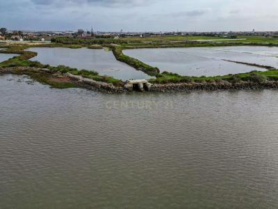 Montijo, Setubal 2870-501, Portugal