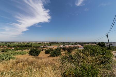 Coruche, Santarem 2100-174, Portugal