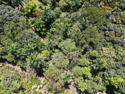 Garita Alajuela, Alajuela 00001, Costa Rica