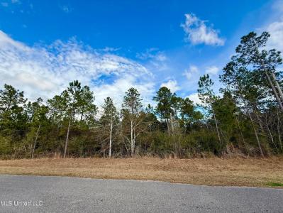 W Edgewood Drive lot: 61, Saucier, Mississippi 39574