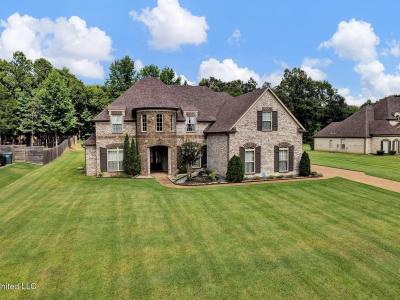 4410 Gray Estate, Southaven, Mississippi 38672, USA