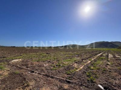 La Paz, Baixa Califórnia Do Sul 23362, México