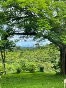 La Cruz La Cruz, Guanacaste 00001, Costa Rica