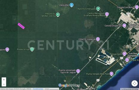 Solidaridad / Riviera Maya, Quintana Roo 77710, Mexico