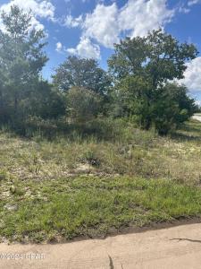 unit6lot19 Deltona Boulevard 6, Chipley, פלורידה 32428, ארצות הברית של אמריקה 